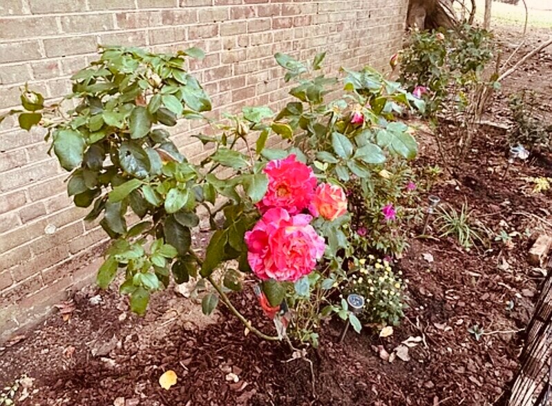 Building Photo - 10506 Weymouth St