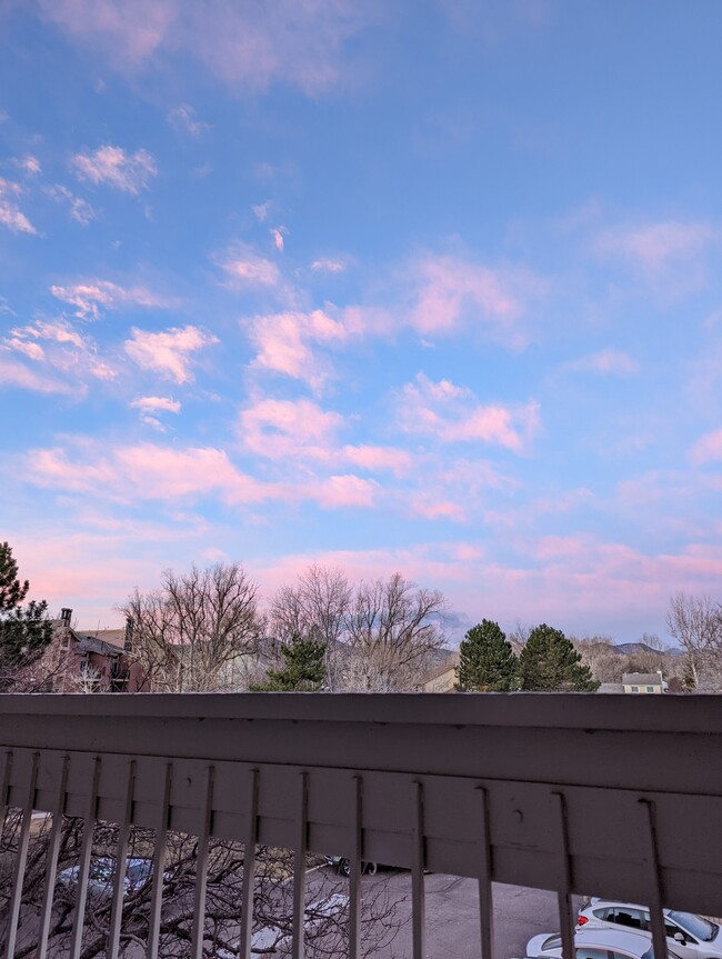 View from Balcony - 4896 S Dudley St