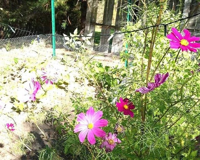 Building Photo - Cozy 3-Bedroom Home with Private Yard in Livingston Manor for November 1st!