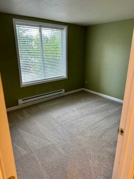 Basement Bedroom - 9402 Oakbrush Way
