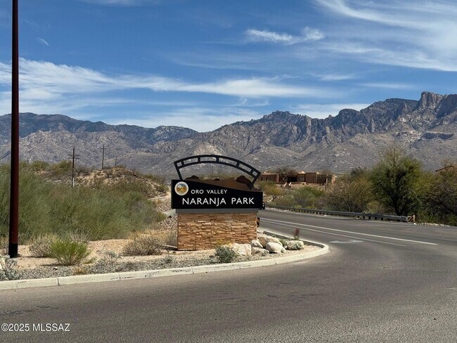 Building Photo - 11096 N Pusch Ridge View Pl