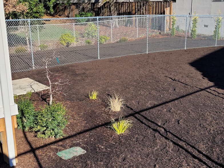 Fully Fenced in Backyard - 10708 SE 29th Ave