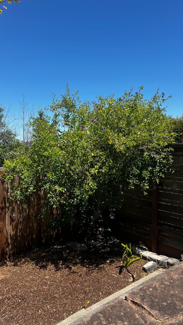 Building Photo - Views for Days Eureka Valley Home.  OPEN HOUSE!!!! THURSDAY, MAY 21 FROM 4:00 PM - 6:30 PM.
