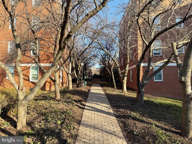 Building Photo - 26 S Old Glebe Rd