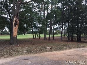 Building Photo - 54 Tecumseh Dr