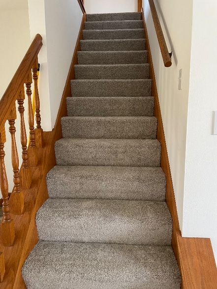 Building Photo - 560 Foxtail Dr