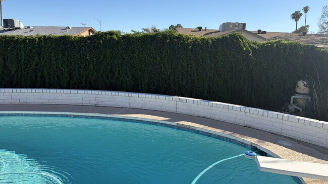 Building Photo - Mid-Century Dream with Beautiful POOL !!!