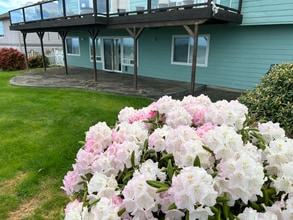 Building Photo - 180 Coral Dr