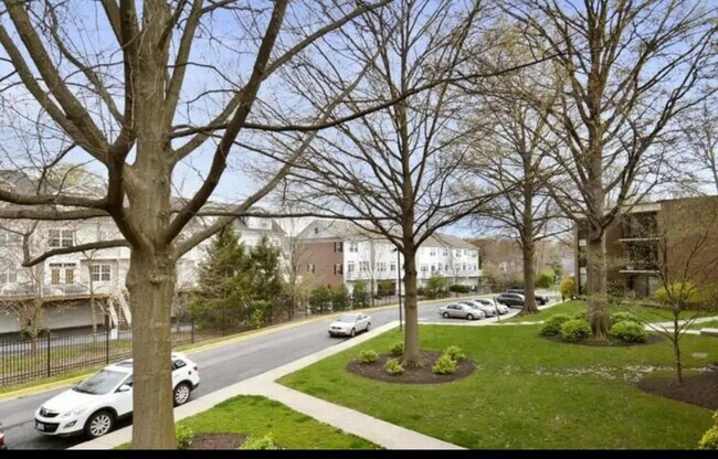 Building Photo - 9907 Blundon Dr