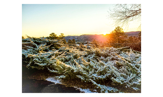 Building Photo - 2057 Heavenly Pl