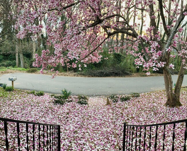 Building Photo - 142 Hiawassee Ave