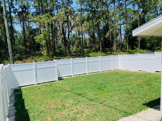 Backyard - 2710 Fern Palm Dr