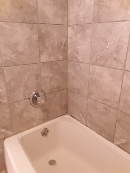 Apt 2 - bathroom shower - 523 E State St