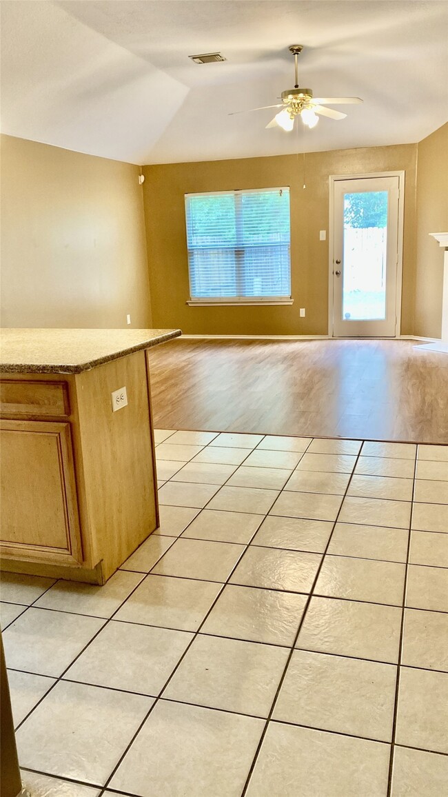 Building Photo - 18034 Platinum Springs Dr