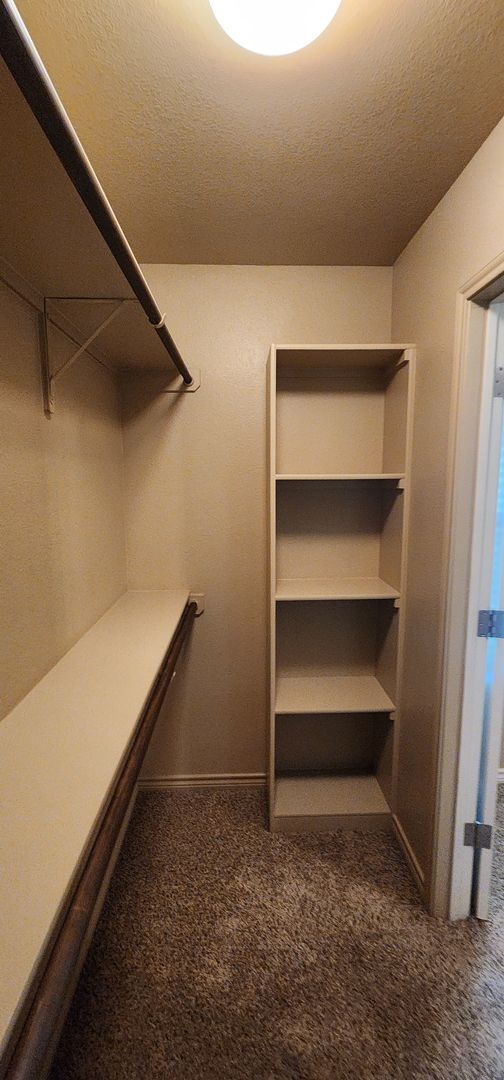 Building Photo - Beautiful 3 Bed, 2 Bath Duplex in Clear Cr...