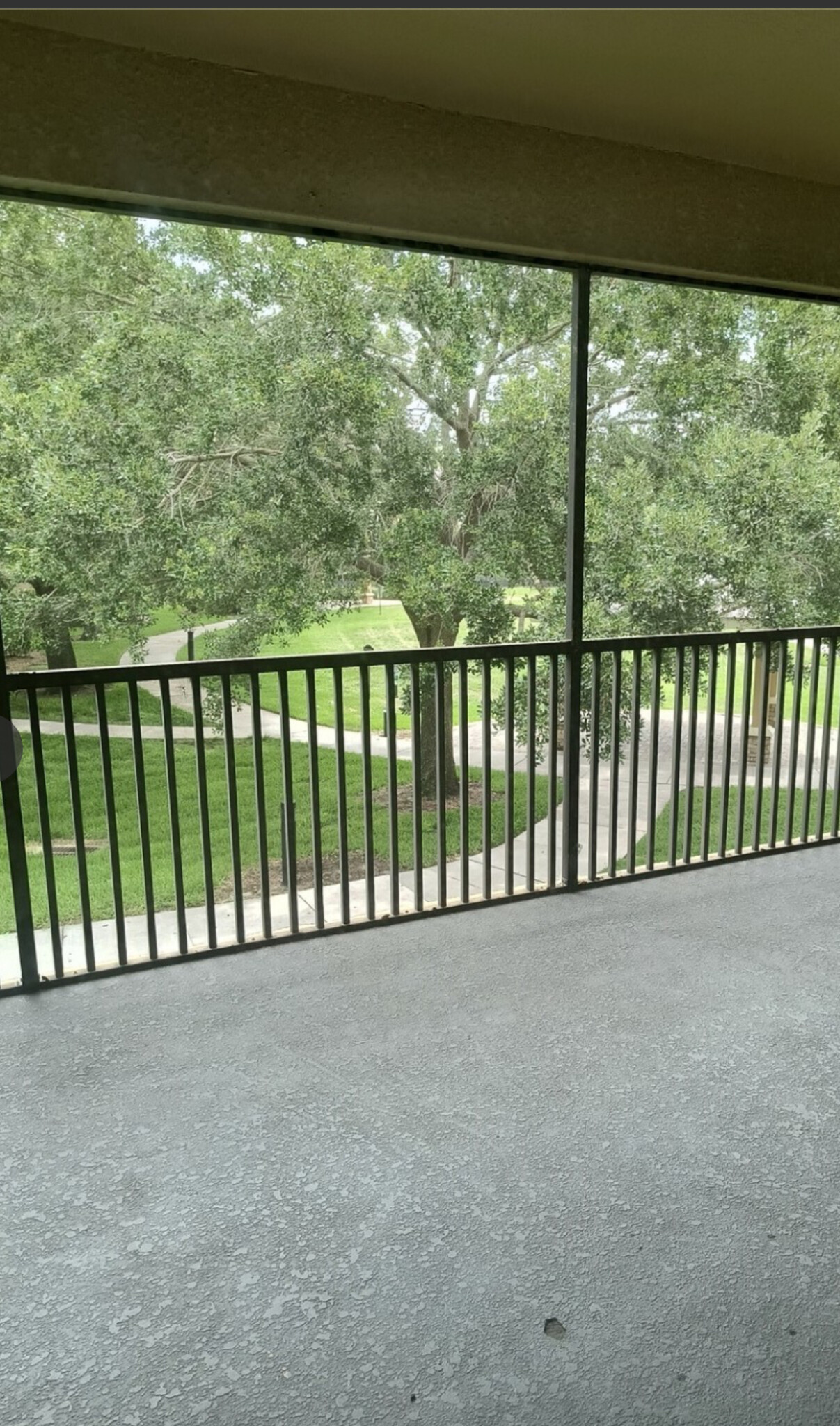 Patio you can view the lake - 2763 Metro Sevilla Dr