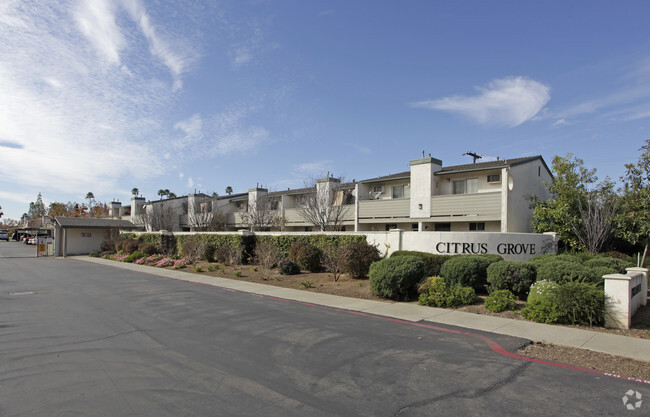 Primary Photo - Citrus Grove Apartments