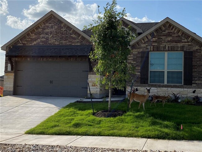 Building Photo - 3421 Charade Dr