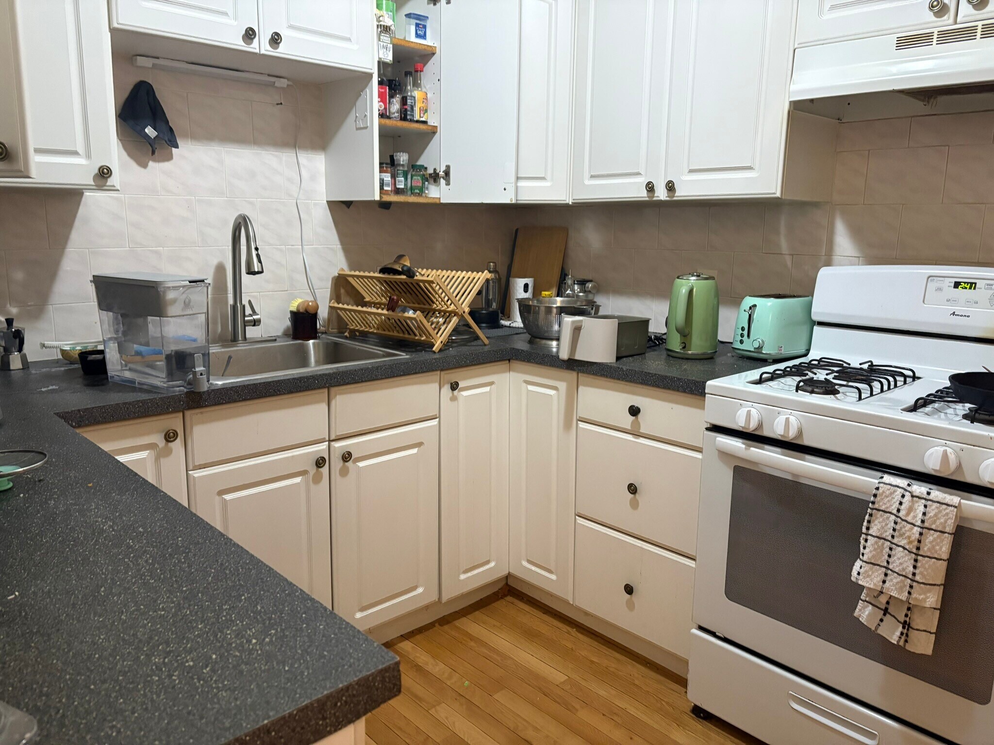 Building Photo - 62 Egmont St