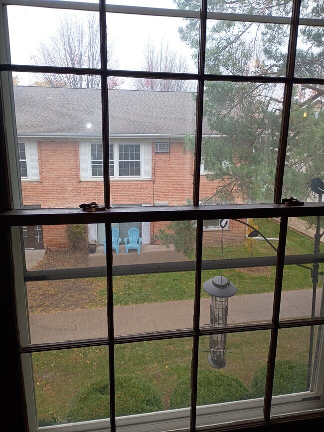 Building Photo - 806 Old Settlers Trail