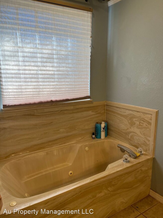 Building Photo - 3 br, 2 bath House - 15702 OUTBACK TRL