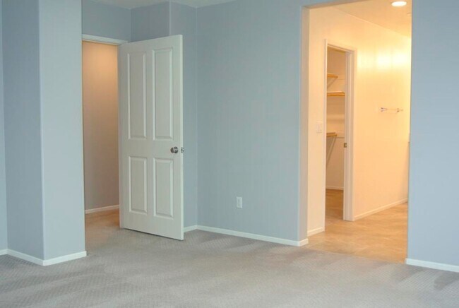 Building Photo - 347 Campolina Ct
