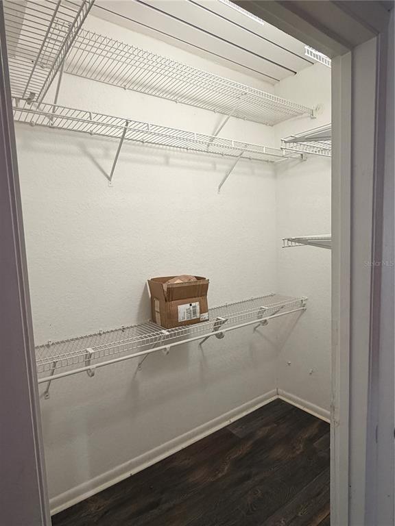 Building Photo - 2320 W Azeele St