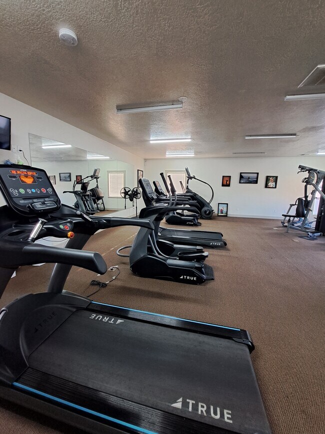 Building Photo - 1238 Baycrest Dr