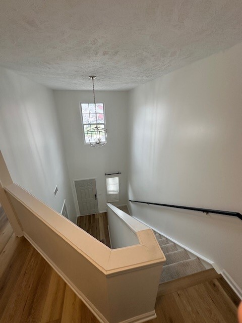 Building Photo - 8428 Charbay Cir