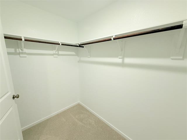 Building Photo - 3809 Ronda St