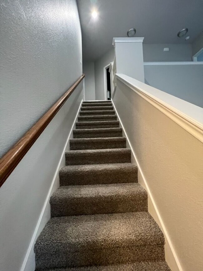 Building Photo - 2834 Melissa Ln