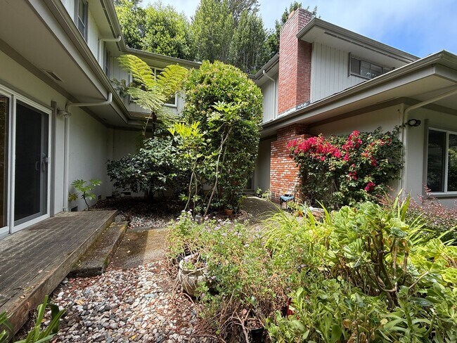 Primary Photo - 504 Barone Ln