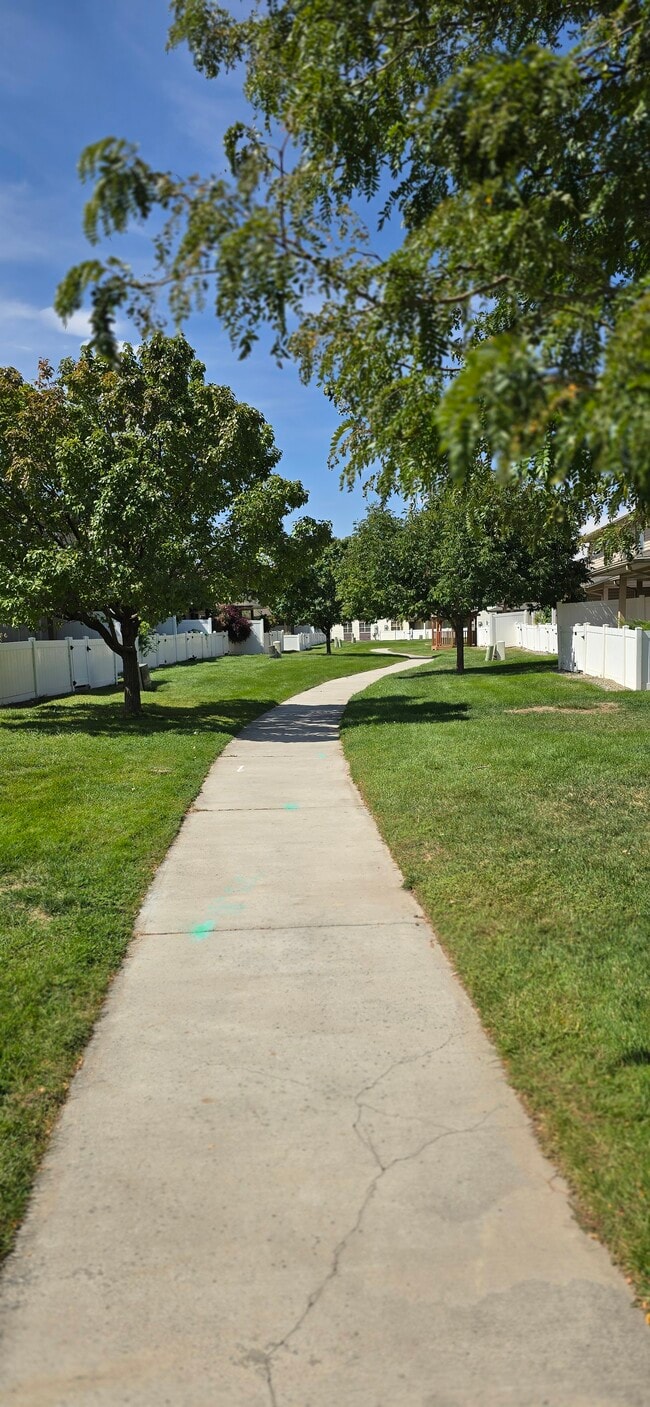 Building Photo - 2465 Theresea Ln