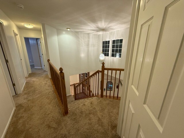 Building Photo - 54 Runkle Dr