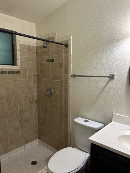 MASTER BATHROOM - 2921 W Betsy Ross Pl