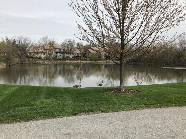 Building Photo - 15817 Orlan Brook Dr