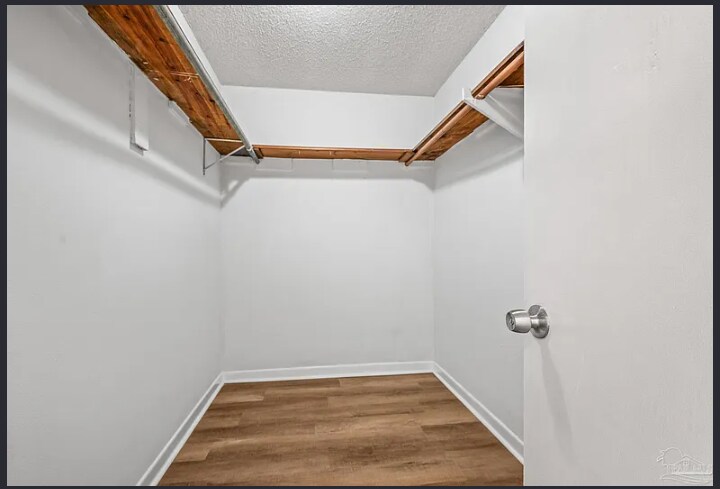 Building Photo - 2408 Cavalla Loop