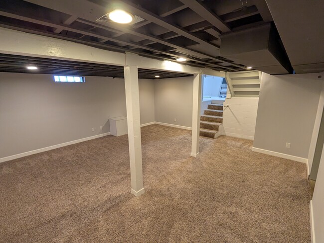 Basement rec room - 2506 E Pleasant St