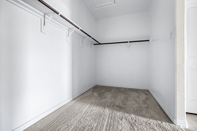 Building Photo - 6312 Spooky Cat Trl