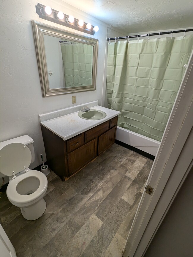 basement bathroom - 2315 S Henry St