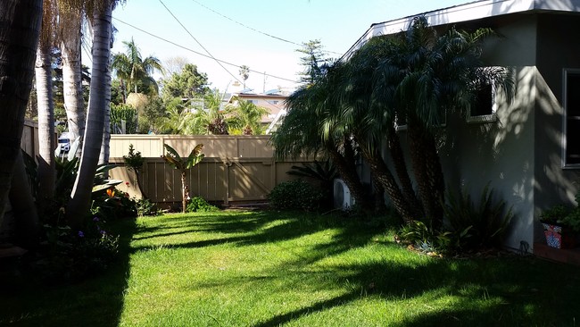 Front Yard, gate to 2nd drvwy - 120 Cadmus St