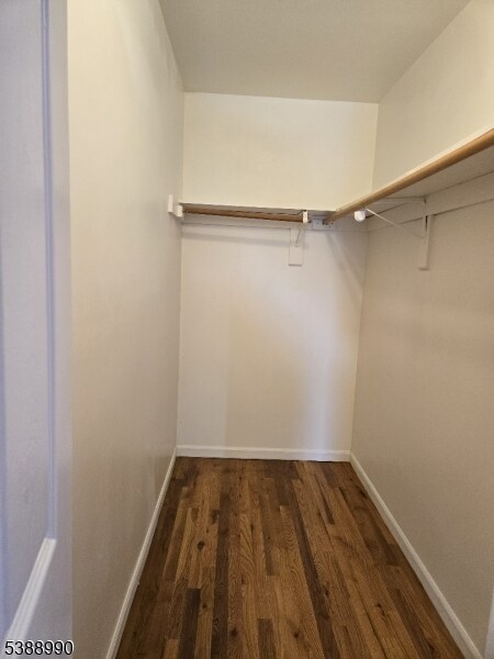 Building Photo - 89 Sumo Village Ct