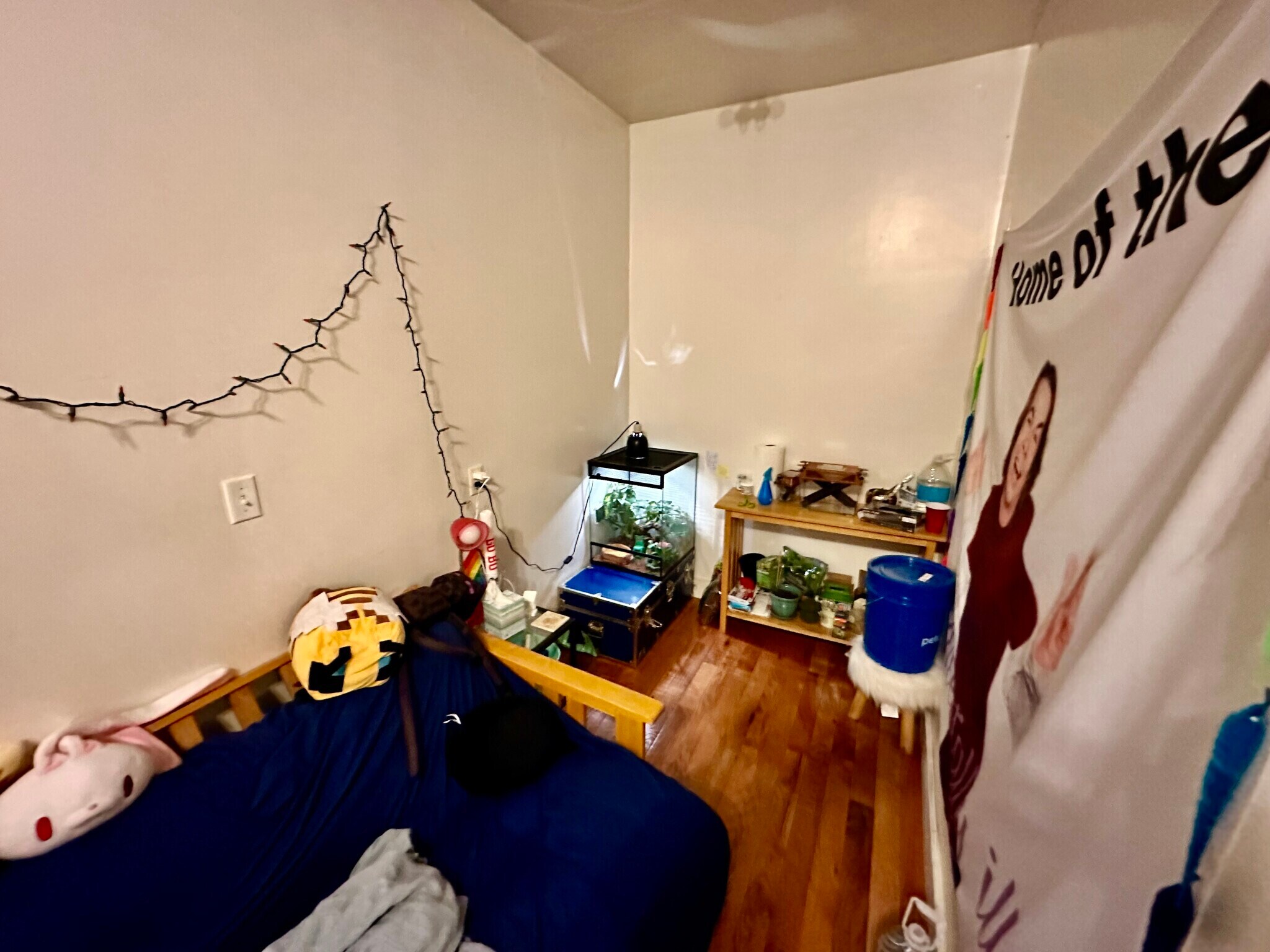 Building Photo - 14 Ashford St