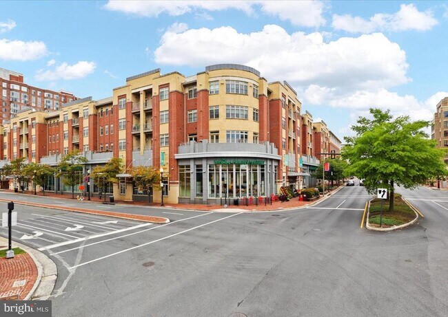 Building Photo - 309 Holland Ln