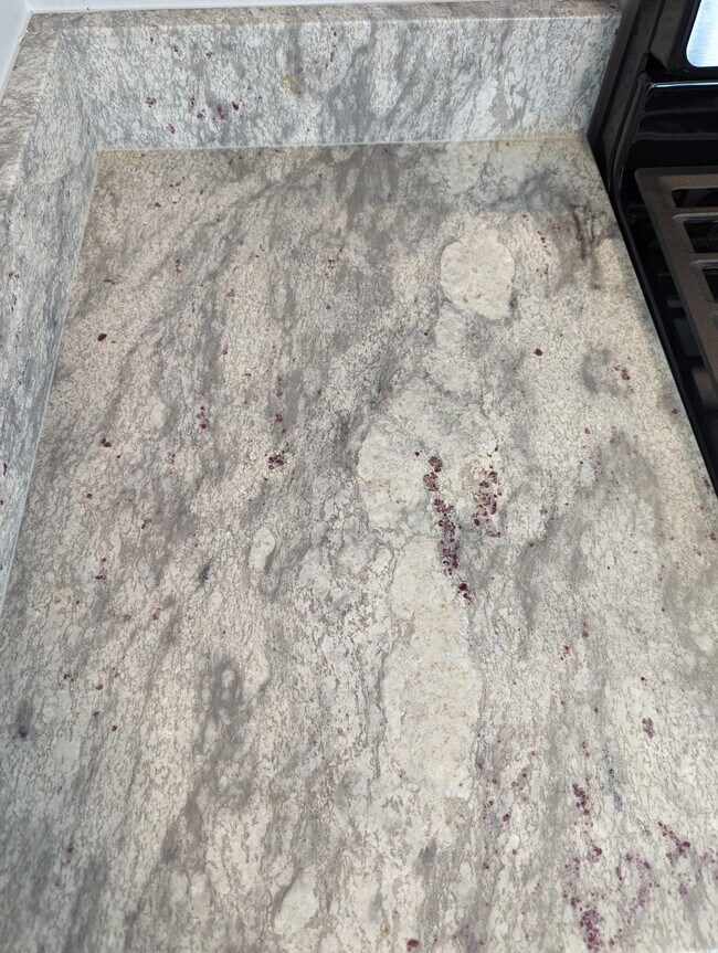 Gorgeous high-end granite countertops. - 2008 E Huntsville Rd