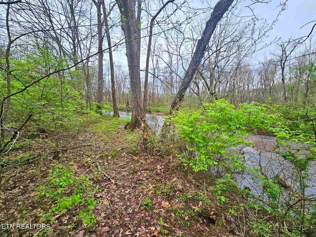 Building Photo - 801 Josepi Dr