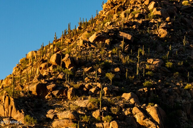 Building Photo - 24562 N 111th Pl