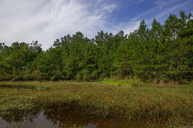 Building Photo - "Charming 3-Bedroom Home with 2 Full Bathrooms in Vass, NC - Spacious and Comfortable Country Liv...