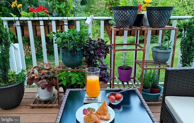 Building Photo - 109 Forelock Ct