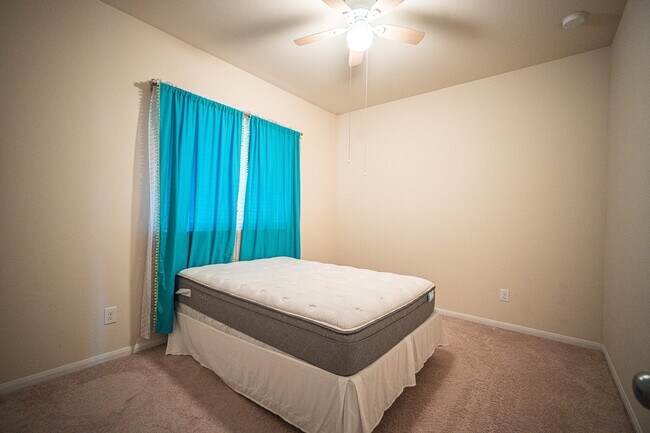 Building Photo - 4138 Falvel Shadow Creek Dr